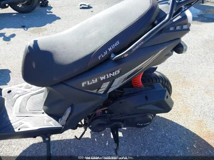 ZHILONG/FLY WING BWS 150 2024 BLACK Photo 11