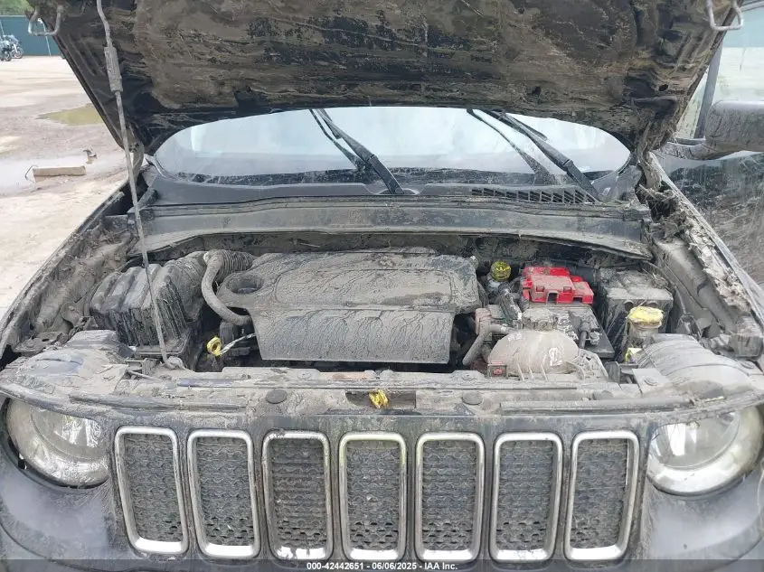 JEEP RENEGADE 2019  Photo 2