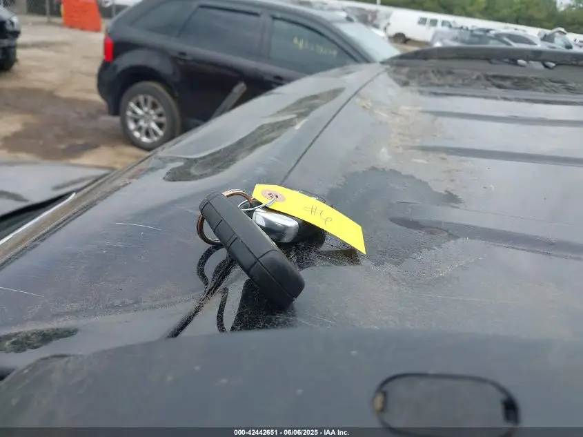 JEEP RENEGADE 2019  Photo 3