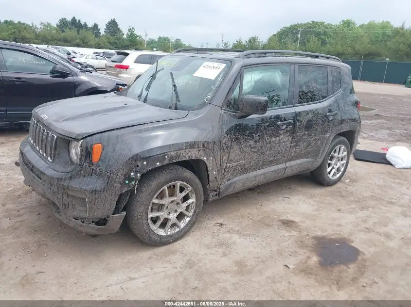 JEEP RENEGADE 2019  Photo 4