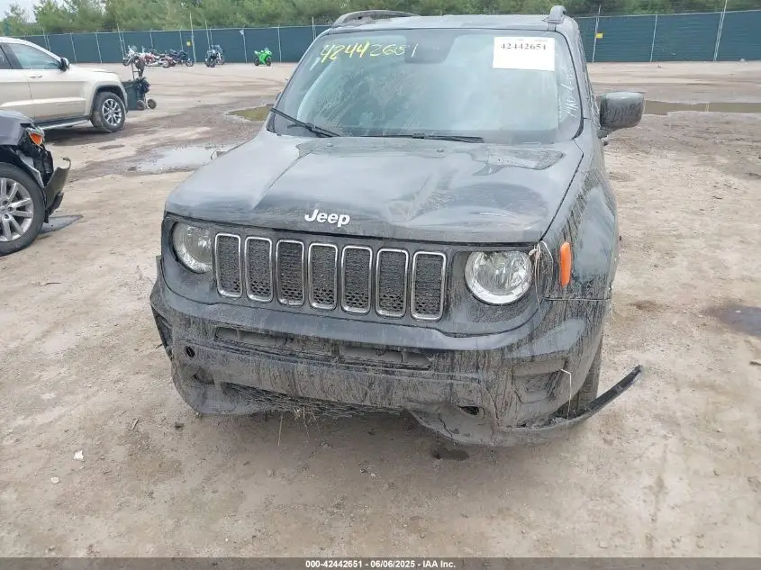 JEEP RENEGADE 2019  Photo 8