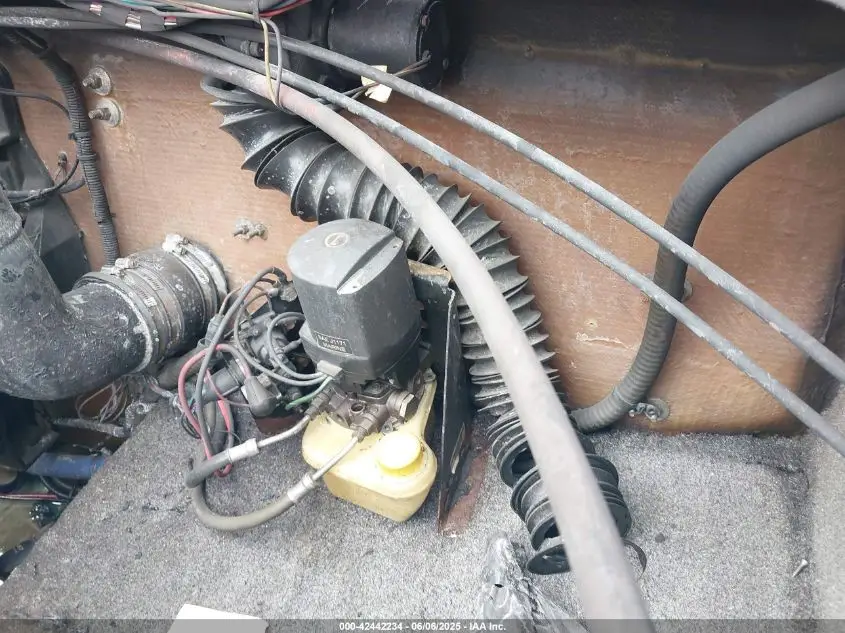 ELIMINATOR OTHER 1999 WHITE Photo 6