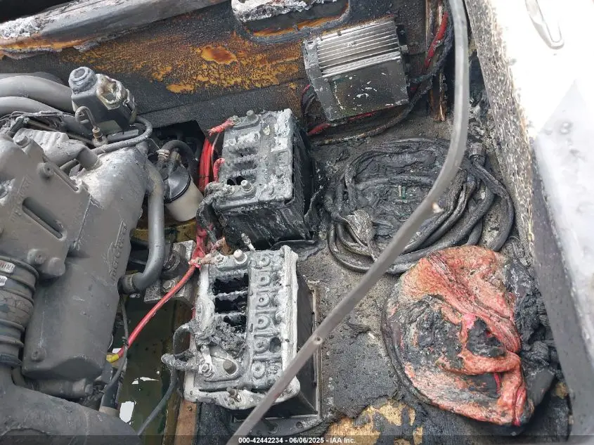 ELIMINATOR OTHER 1999 WHITE Photo 9