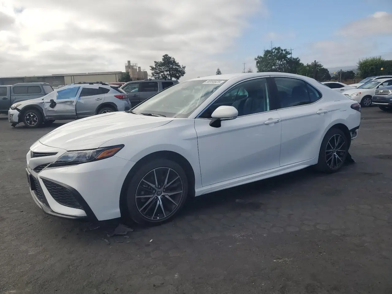 VIN 4T1G11AKXPU159429 TOYOTA CAMRY 2023 SE N WHITE 2 5L 4 Free Car vin-4t1g11akxpu159429-toyota-camry-2023-se-n-white-2-5l-4-free-car