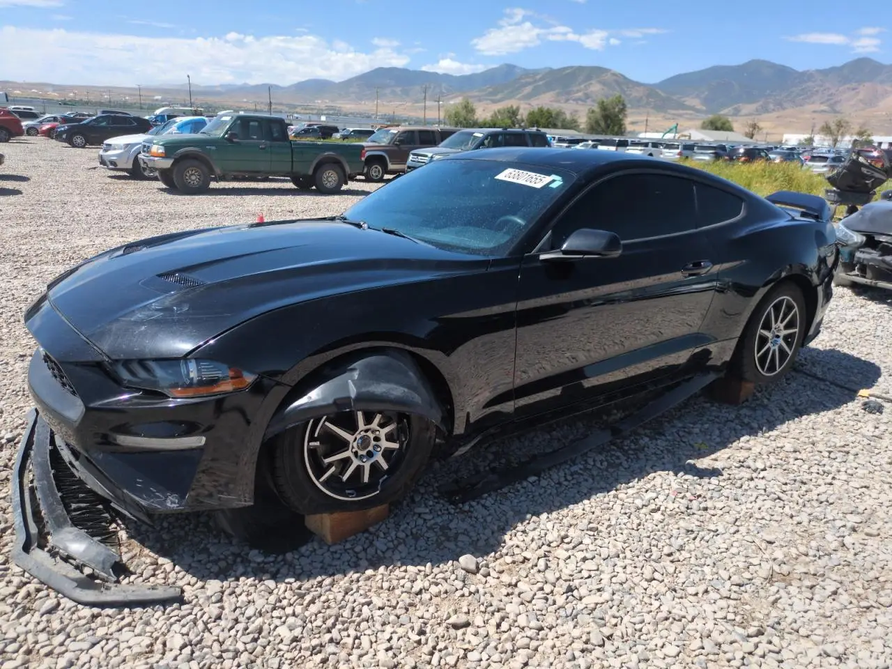 FORD ALL OTHER 2019. Lot# 63801655. VIN 1FA6P8TH8K5193404. Photo 1