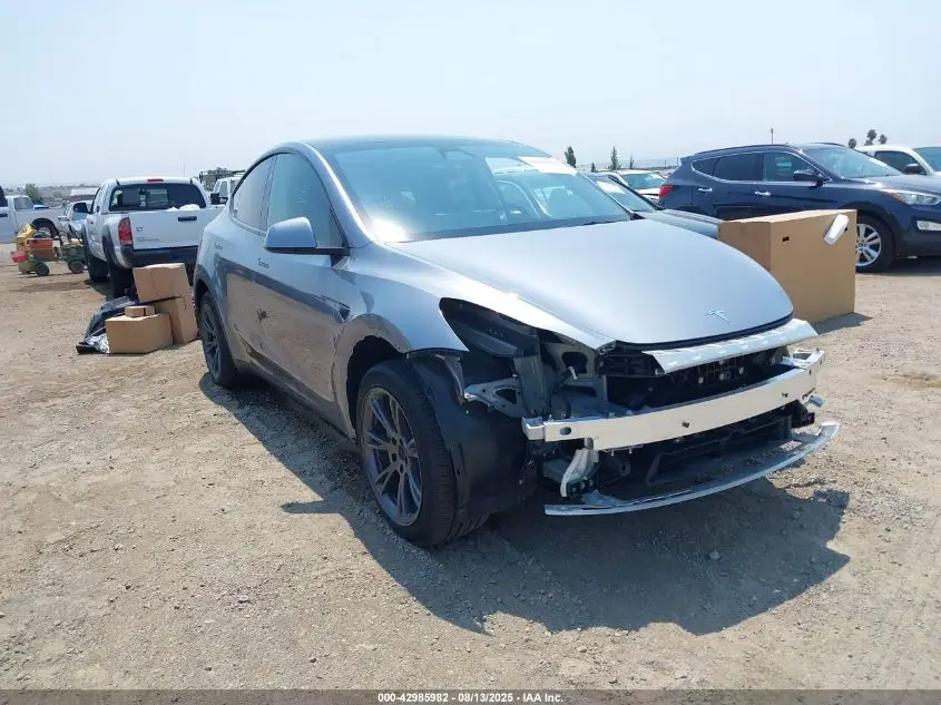 TESLA MODEL Y 2024. Lot# 42985982. VIN 7SAYGDEE6RA300764. Photo 1