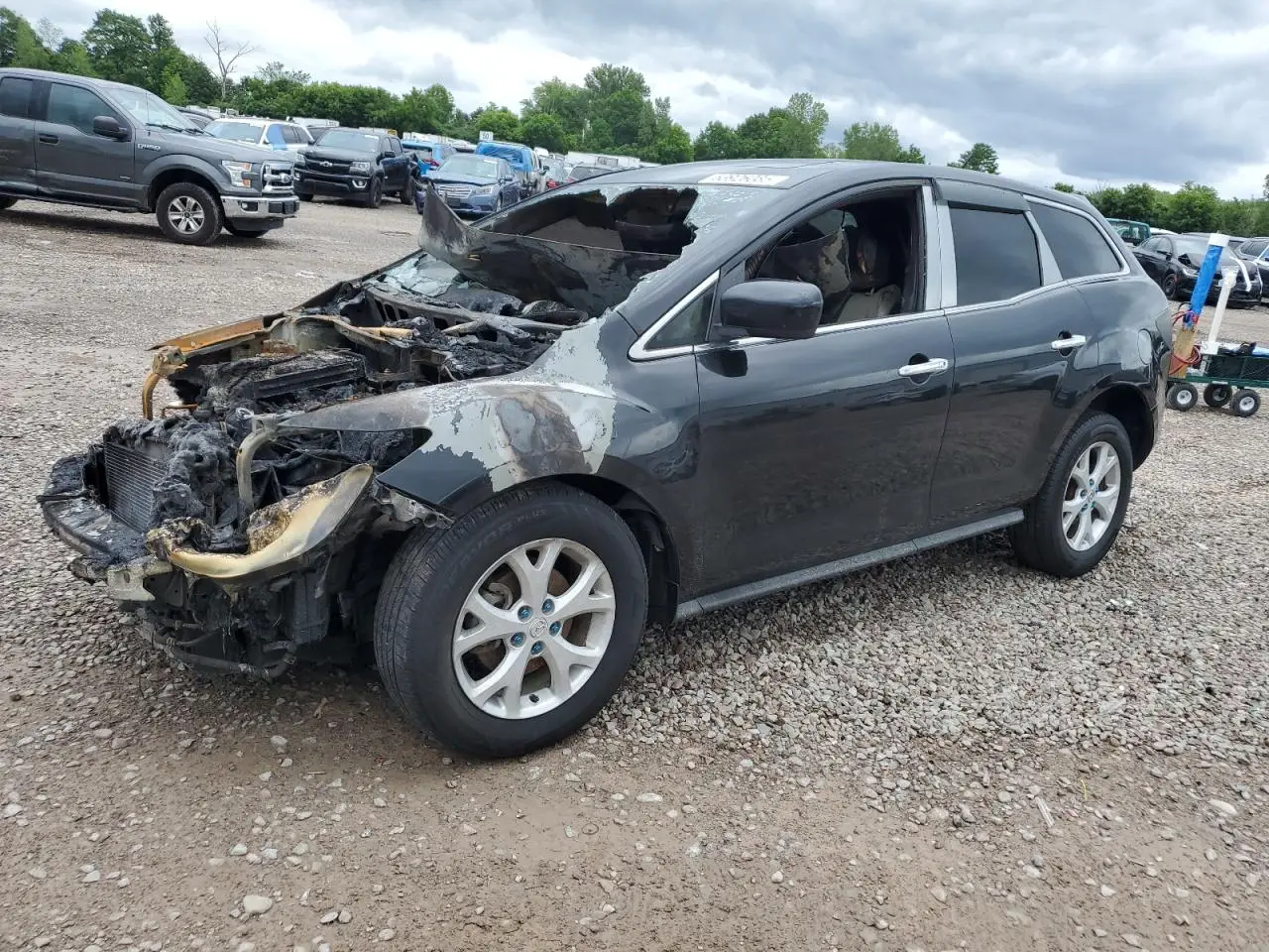 MAZDA CX-7 2008. Lot# 63926085. VIN JM3ER29L780204110. Photo 1