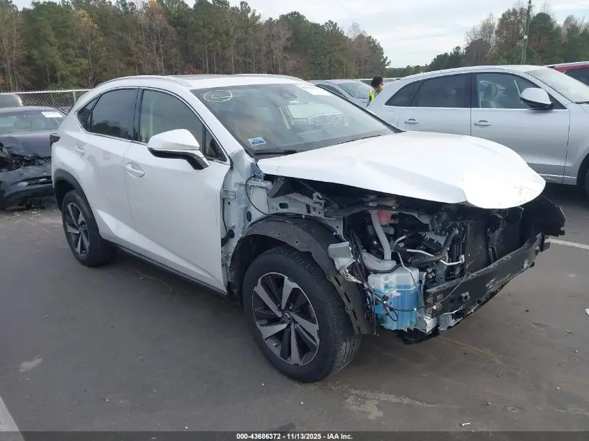 LEXUS NX 300 2020. Lot# 43686372. VIN JTJGARBZ4L5004195. Photo 1