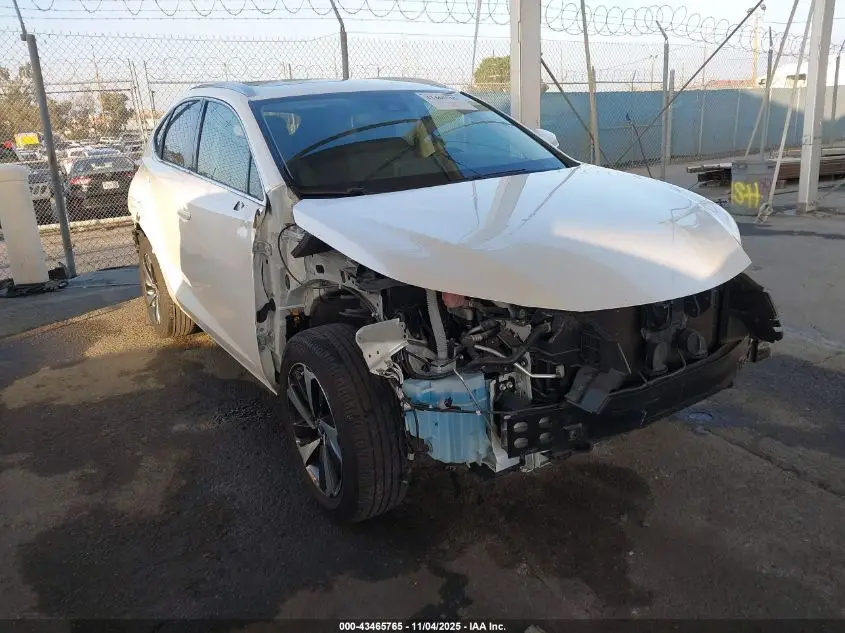 LEXUS NX 300 2021. Lot# 43465765. VIN JTJGARBZ6M5025793. Photo 1